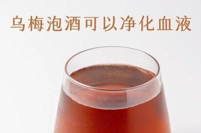乌梅可以泡酒喝吗 乌梅泡酒好还是杨梅泡酒好
