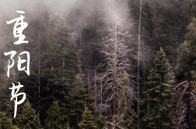 重阳节要回娘家拜节吗 重阳节可以在娘家过吗