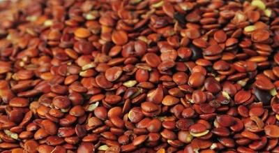 酸枣仁可以天天泡水喝吗 酸枣仁多久吃一次为好