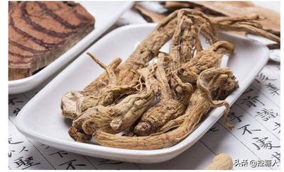 当归煲汤放多少合适 当归煲什么汤最补血补气