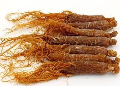 红参怎么吃效果最好 红参可以天天泡水喝吗