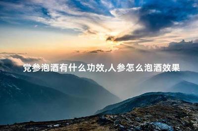 党参泡酒有什么功效 党参泡酒比例是多少