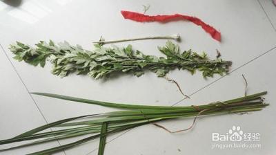 端午节挂在门口的植物叫什么 端午节要挂艾草和菖蒲