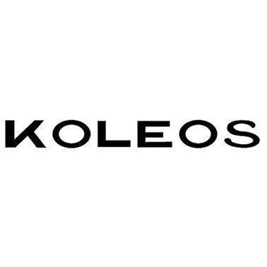 koleos是哪国车？了解koleos车型的产地与品牌
