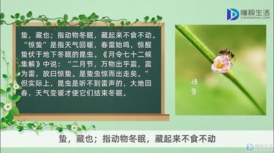 惊蛰的蛰是什么意思 惊蛰的含义和风俗