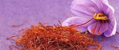 藏红花泡水可以空腹喝吗 藏红花泡水可以天天喝吗