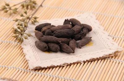 什么是母丁香呢 母丁香有什么作用呢