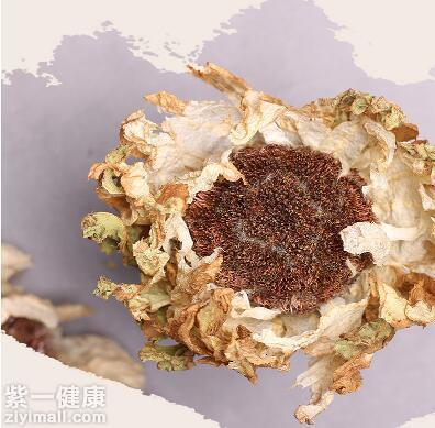 天山雪莲的功效和作用 天山雪莲的正确吃法