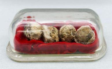 麝香会导致男性不育吗 麝香对男性有什么危害 麝香会导致男性不育吗 麝香对男性有什么危害