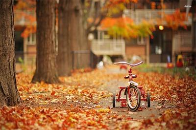 三九贴能治好鼻炎吗 高血压可以贴三九贴吗