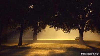 决明子对眼睛的功效与作用 决明子对肝脏有损害吗