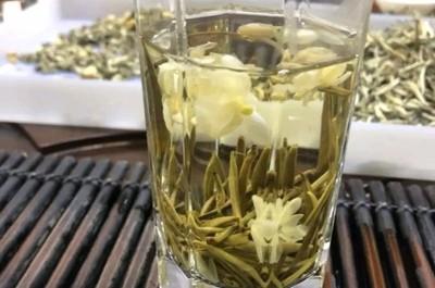 茉莉花茶怎么选择 茉莉花茶的保质期多久 茉莉花茶怎么选择 茉莉花茶的保质期多久