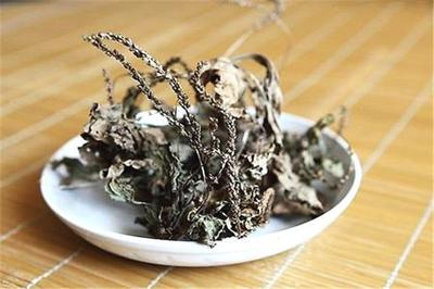 车前草可以降血压吗 车前草可以降血脂吗