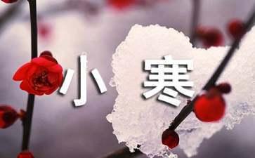 小寒是农历几月几号 小寒意味着什么 小寒是农历几月几号 小寒意味着什么