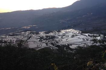 元谋人遗址在哪里？探秘元谋人遗址的地理位置与历史