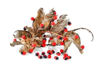 赤小豆可以煮粥吗 赤小豆煮粥最佳搭配