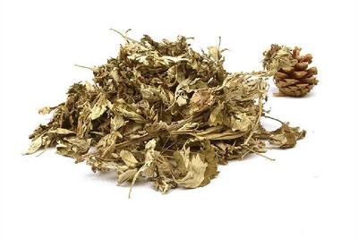 艾条熏房间可以消菌杀毒吗 艾条熏房要熏多久