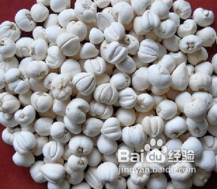 川贝有什么营养价值呢 川贝有什么作用呢