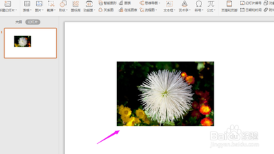 wpsppt图片形状怎么改