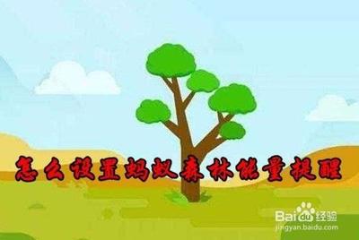 蚂蚁森林如何开启能量可收取提醒