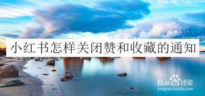小红书怎么关闭赞和收藏 小红书怎么关闭赞和收藏