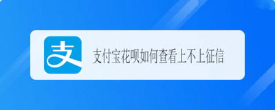 花呗征信在哪里查