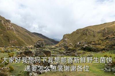 野生菌怎么邮寄到省外