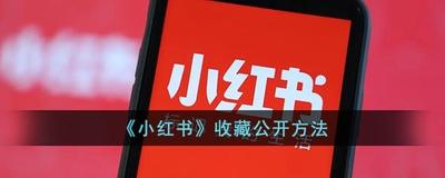 小红书如何设置公开我的收藏 小红书如何设置公开我的收藏