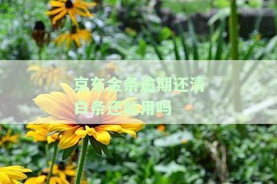 京东金条白条逾期了暂时没办法还款怎么办