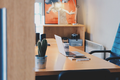 京东怎么搜索店铺，京东索店铺详细操作步骤