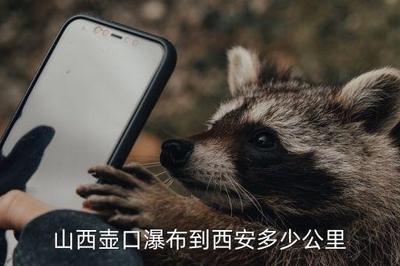 壶口瀑布离哪座城市最近？了解壶口瀑布与附近城市的距离