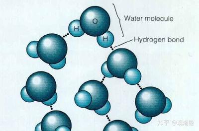 水是由什么组成的？揭秘水的分子构成