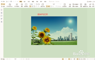 wps如何裁剪pdf文件