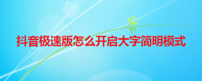 抖音极速版怎么打开大字简明模式