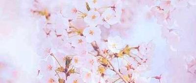 寒冬来袭大码男士如何穿出风度与温度秋冬季皮夹克你不可不知的秘密武器