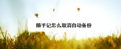 随手记怎么取消自动备份