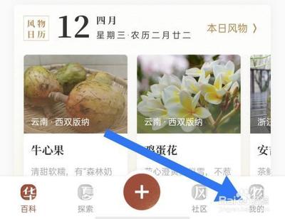 华夏风物如何找到清除缓存的办法