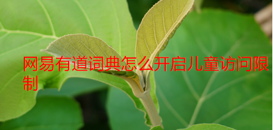 网易有道词典怎么开启儿童访问限制