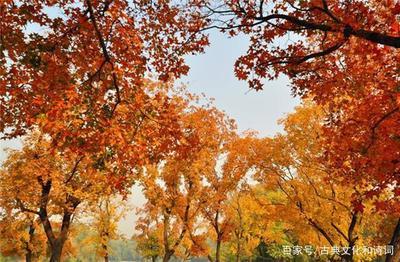 &lsquo;江枫渔火对愁眠&rsquo;描写的是什么季节？解读这句诗中的季节意象