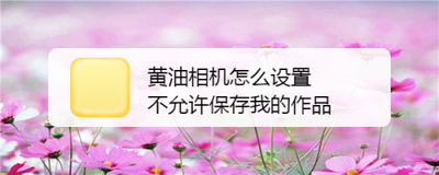 黄油相机怎么设置不允许保存我的作品