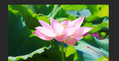 如何用ps将图片变成黑白