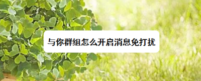 与你群组怎么开启消息免打扰