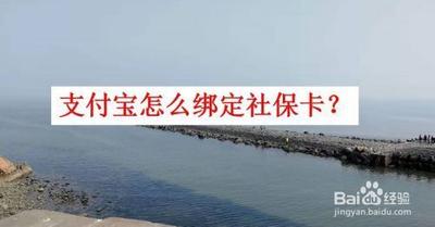 支付宝怎么绑定社保卡