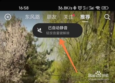 怎么设置进入抖音没有声音
