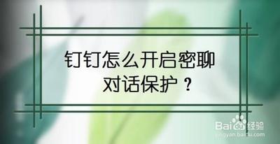 钉钉密聊怎么开启密码保护
