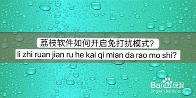 荔枝怎么开启免打扰模式