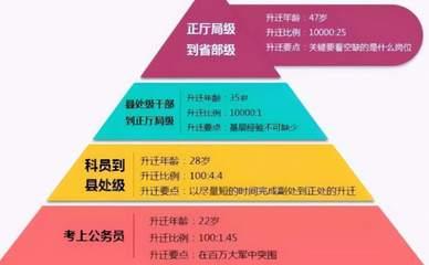 处级干部是什么级别？解析处级干部的职务层级