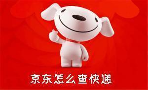 京东购物后查询快递的方法