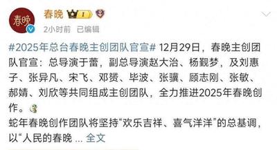 春晚主持人你最期待谁