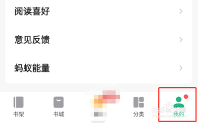 书旗免费小说怎么开启亮度自适应